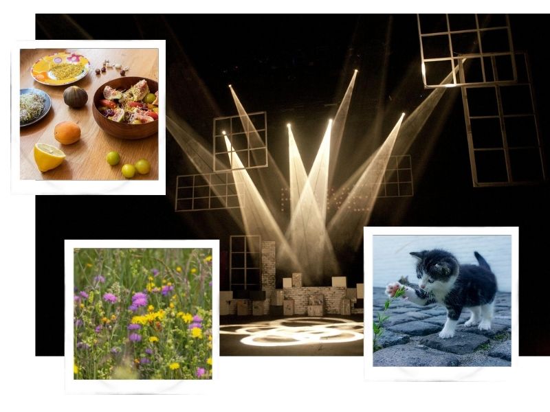 L'allergie est multifactorielle