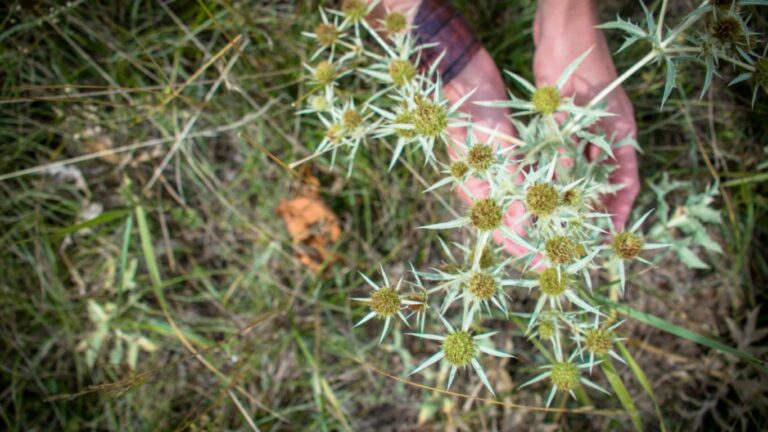 L’hypersensibilité émotionnelle (et la gestion des émotions): Un Guide Complet