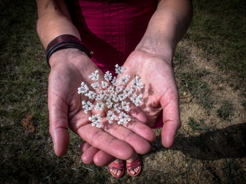 Hypersensibilité émotionnelle