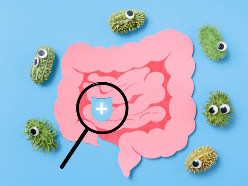 Dysbiose et troubles chroniques inflammatoires