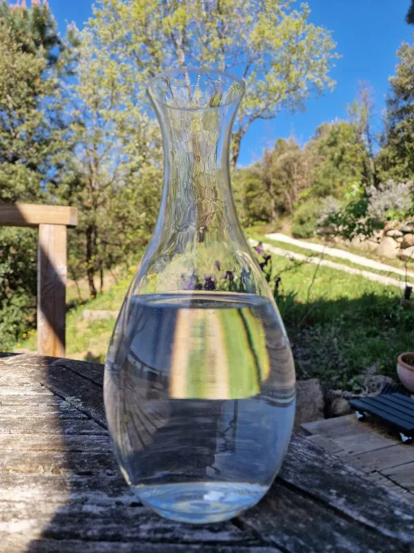 Importance de l'eau pure pour le microbiote